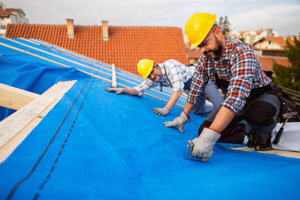 Best Roof Insulation Installation  in Ridge, NY